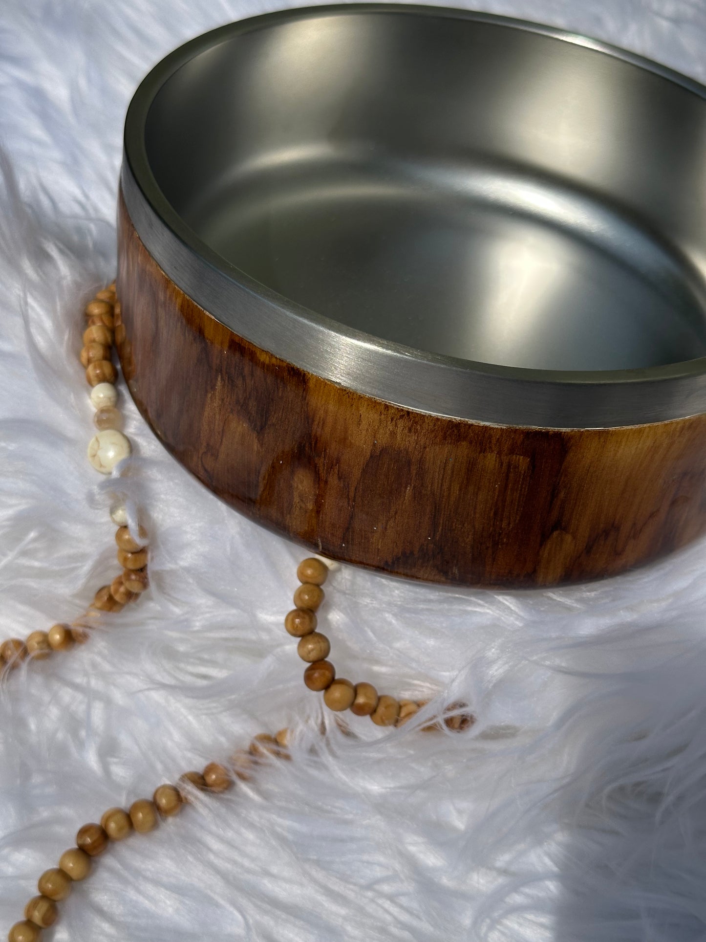 Dog Bowl